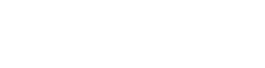 Scout